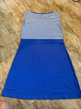 L.L. Bean Blue and White Striped Top Dress